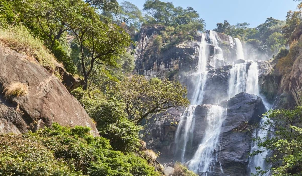 EXPLORE UDZUNGWA MOUNTAIN NP, MIKUMI NP AND NYERERE NATIONAL PARK.