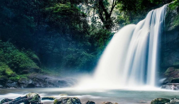 UDZUNGWA MOUNTAIN NP AND MIKUMI NP